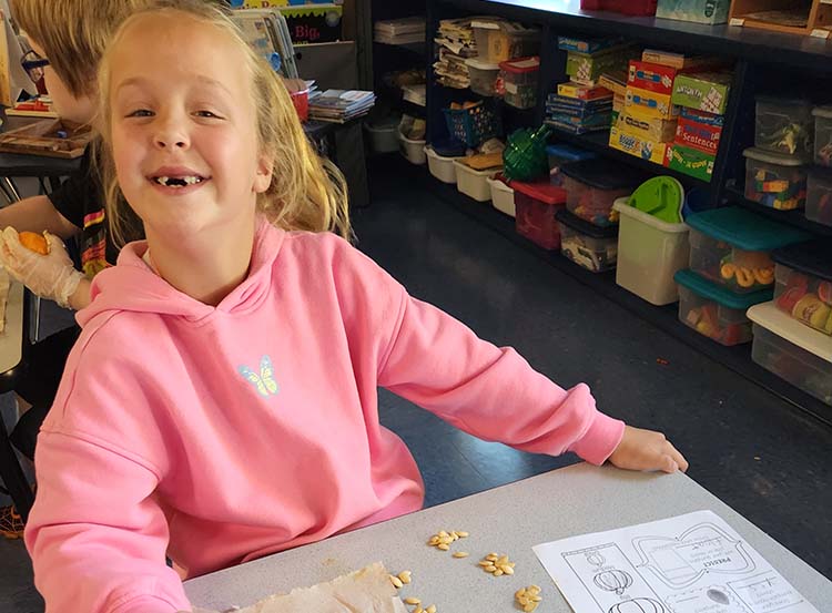 elementary student doing an activity with pumpkin seeds at desk