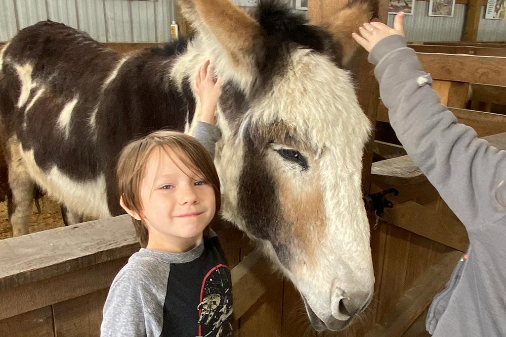 a male student petting a donkey