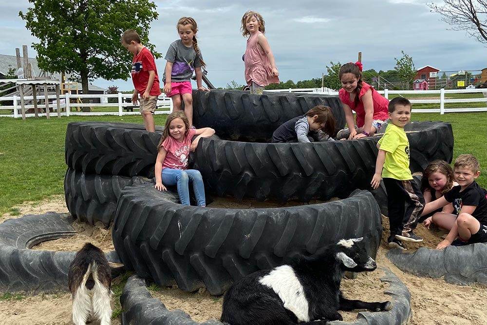 elementary students at farm in huge tractor tires surrounded by a few goats